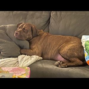 Meet your Posher, Mathew